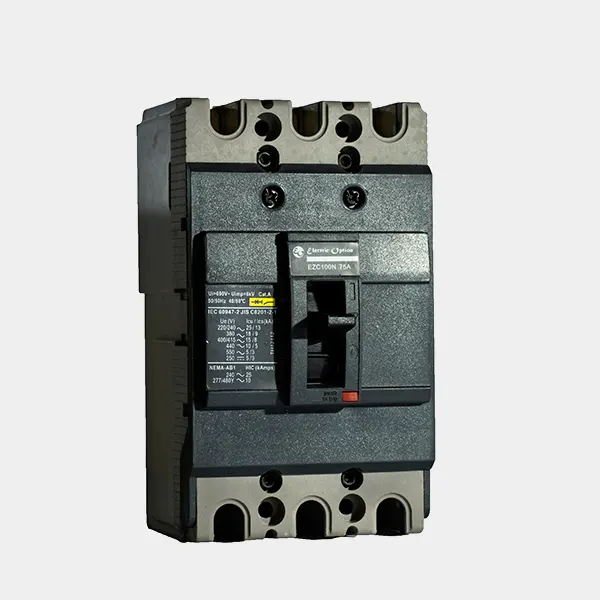 Interruptor modelo EZC100