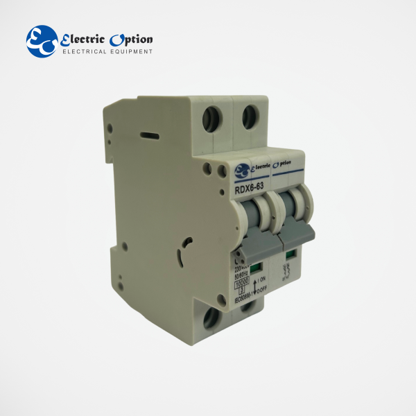 Interruptor termomagnético de 2 polos RDX6-63 2X10A